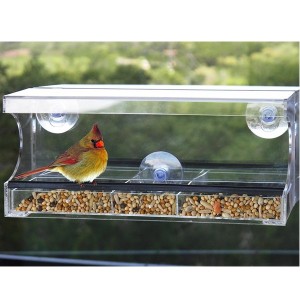 perspex plastic bird feeder with removable sliding tray drain holes