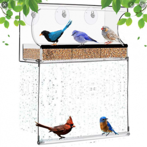 wholesale Small Cute Transparent china lager breeding carriers houses Pet birde Cages Parrot Breeding acrylic bird cage for sale