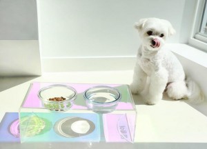 Custom Logo Wholesale Luxury Colorful Cat Dog Pet Water Food Feeder Bowl