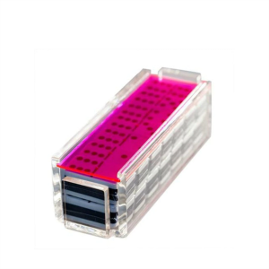 Various Color Display Case Plexiglass Dominoes Set Neon Acrylic Case