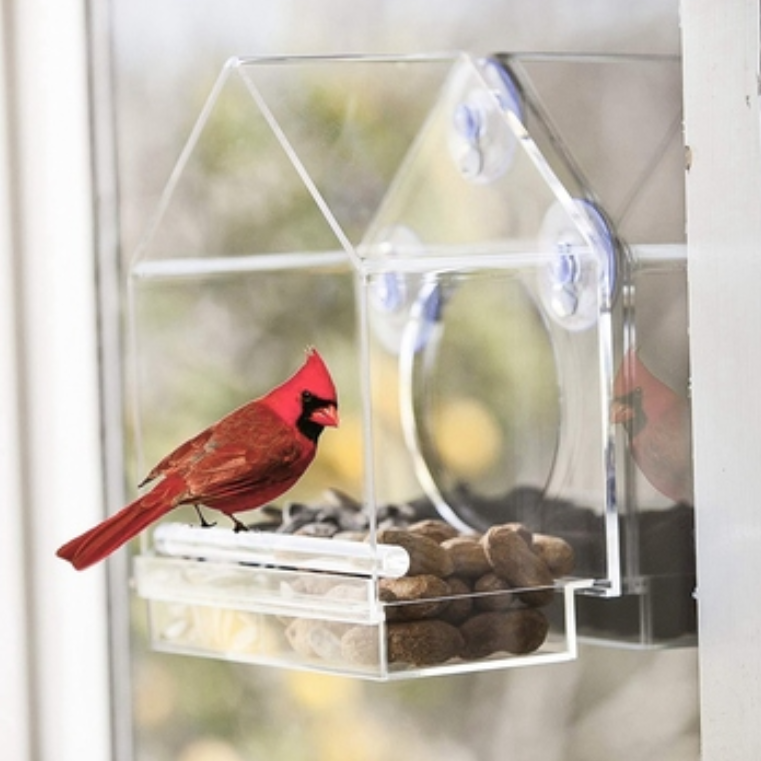 Transparent wild Pet Cage suction cup Premium Sliding Tray Outside Perspex acrylic clear birdhouse window bird feeder wit