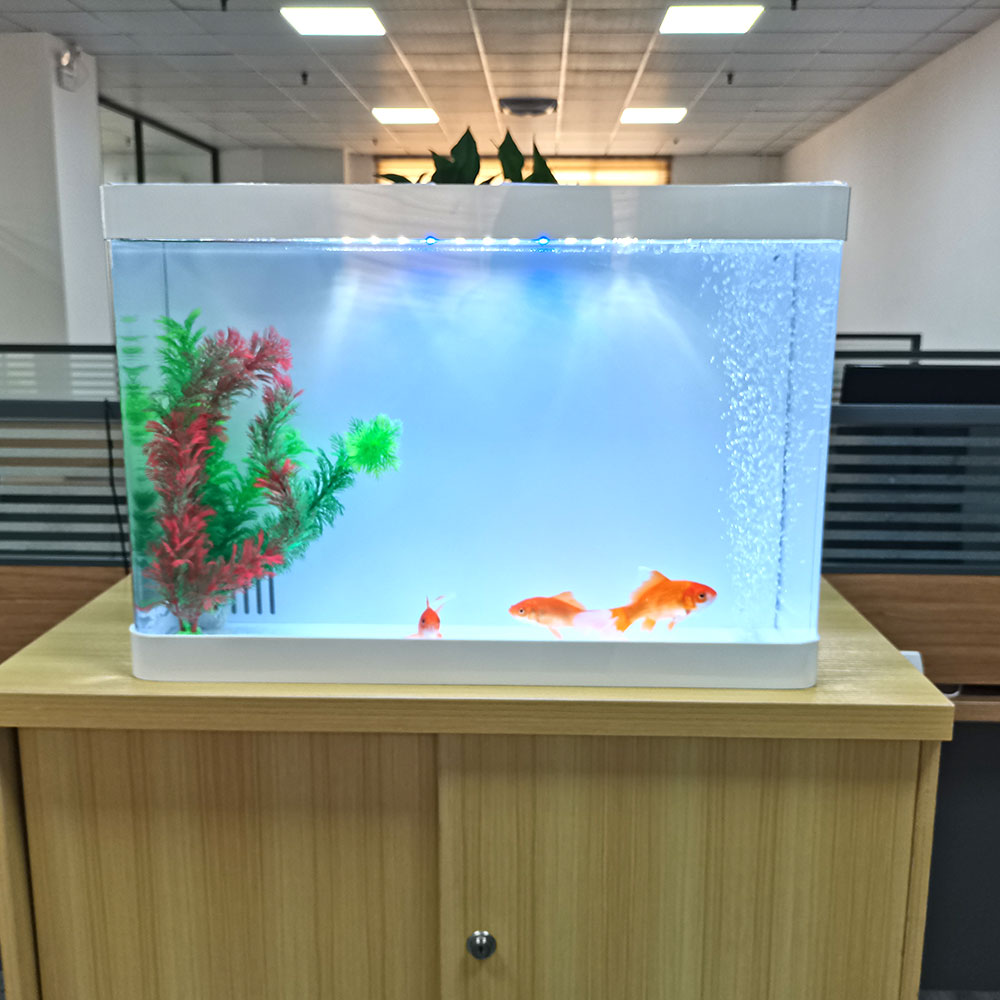 special design acrylic fish tank,new design fish tank aquarium