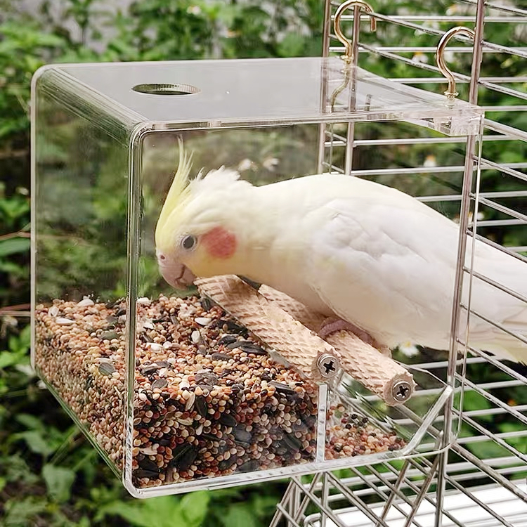 wholesale Small Cute Transparent china lager breeding carriers houses Pet birde Cages Parrot Breeding acrylic bird cage for sale
