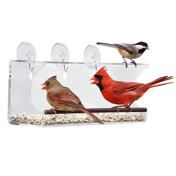 Outdoors Large Acrylic Window Bird Feeder Perspex Removable Suction Cup Mounted Outdoor Bird House