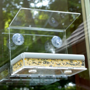 wholesale Small Cute Transparent china lager breeding carriers houses Pet birde Cages Parrot Breeding acrylic bird cage for sale