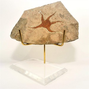 Acrylic Base Stone Stand Museum Display Clear Lucite Mineral Display Stand Easel